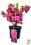Рододендрон азалієвидний (Azalea japonica) "Rokoko" C1 висота 30-50см (60475) 1 саженец - мініатюра 4