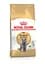 Сухой корм для британских короткошерстных взрослых котов Royal Canin British Shorthair Adult, с птицей, 2 кг - миниатюра 2