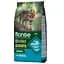 Сухой корм для котов Monge Cat Bwild Gr.Free, тунец, 1,5 кг - миниатюра 1