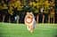 Кольцо PitchDog (4823089302416) - миниатюра 2