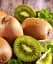 Саженец Agro-Market Киви Бруно (один из лучших сортов) 1 шт. в упаковке (35893) - миниатюра 1