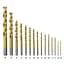 Набор сверл по металлу Trotec 15 pieces HSS Metal Drill Set (6200001131) - миниатюра 3