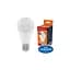 Лампочка Electrum A60 12W PA LS-33 Elegant E27 3000K (A-LS-1920) - мініатюра 1