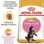 Сухой корм для котят до 15 месяцев породы мейн-кун Royal Canin Maine Coon Kitten с курицей 0.4 кг - миниатюра 3