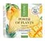 Масло для зняття макіяжу Lirene Power of Plants Make-up Remover Butter Mango 45 мл - мініатюра 2