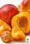Саженец Agro-Market Нектарин колоновидный Роман (поздний срок созревания) 1 шт. в упаковке (45351) - миниатюра 3