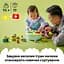 Конструктор LEGO DUPLO My First Сортувальник фігур: будинок для цуценят 17 деталей (10441) - мініатюра 13