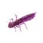 Силикон FishUP Dragonfly 0.75" #016 Lox/Green & Black (12 шт/уп) - миниатюра 1