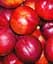 Саженец Agro-Market Нектарин Флейвор Топ (летний сорт, средний срок созревания) (39945) 1 шт. в упаковке - миниатюра 6