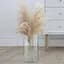 Ваза Trendglass Flora скляна для квітів та декору 29 см (35940) - мініатюра 5