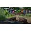 Ключ активації Microsoft Planet Zoo: Ultimate Edition для Xbox Series S/X - мініатюра 3