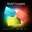 КриптогаманецьTangem Wallet 2.0 набір з 3 карт Vivid (TG128X3-V) - мініатюра 5
