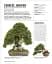Grow Bonsai - мініатюра 9