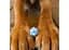 Набор кубиков DOGS Dice Set: Max , 7 шт. (SDOG02) - миниатюра 7