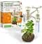 Набір для досліджень Метеостанція 4M 00-03279/ML Green Science - мініатюра 1