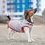 Жилет для собак Pet Fashion Fleecy S серо-красный - миниатюра 4