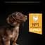 Сухий корм Purina Pro Plan Small & Mini Puppy <1 Healthy Start для цуценят дрібних порід з куркою 3 кг (12272132) - мініатюра 6