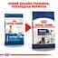 Сухой корм для стареющих собак крупных пород Royal Canin Maxi Ageing 8+, 15 кг (2454150) - миниатюра 2