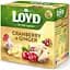 Чай фруктовий Loyd Oyd Cranberry&Ginger журавлина імбир 40 г (20 шт. х 2 г) (3103566) - мініатюра 4