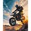 Картина за номерами "Мотоекстрім" 12511-AC 40x50 см - мініатюра 1