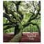 Тетрадь ученическая "The Sound of life" Star 048-3347K 48 листов (482000647644103347)(SC) - миниатюра 1