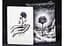 Карты игральные United States Play Card Company Black Flower by Jack Nobile (PC_BFJN) - миниатюра 4
