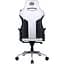 Геймерське крісло Cooler Master Caliber X1C [CMI-GCX1C-GY] [121659] - мініатюра 6
