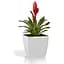 Вазон Plastkon Quadrato Flower Lover 25x25x24 см белый - миниатюра 2