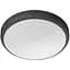 Світильник Philips Doris Outdoor Ceiling 6W 40K Black IP54 HV для вуличного використання чорний (929003190901) - мініатюра 1