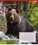 Набір зошитів 1 Вересня Animals of Ukraine А5 в лінійку 18 аркушів 25 шт. (767251) - мініатюра 3