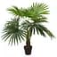 Штучна рослина Engard Fan Palm 120 см (DW-27) - мініатюра 1