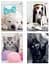 Зошит Interdruk I love pets лінійка A5 12 аркушів 8 шт. (298652-8) - мініатюра 1