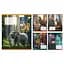 Набір зошитів Yes The wild in the city А5, 24 аркуші 20 шт. (767765) - мініатюра 1