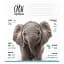 Зошит учнівський Школярик Africa Animals 012-3279K-2 в клітинку 12 аркушів - мініатюра 1