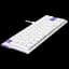 Клавіатура Ajazz NKL61 Wired Red Switch White Purple - мініатюра 2