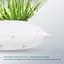 Подушка ТЕП Природа Membrana Print Aloe Vera 50х70 см белая (3-00440_00000) - миниатюра 9