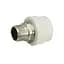 Муфта PPR Blue Ocean 63х2 ЗР SD00006402 - миниатюра 1