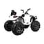 Електроквадроцикл Ramiz Quad ATV 12 В,червоний (PA.BDM0906.CR) - мініатюра 2
