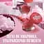 Рум'яна-мусс для щік і губ Maybelline New York Cloudtopia відтінок 05 Coral Illusion 5 г - мініатюра 4