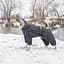 Комбінезон Pet Fashion Cold для собак, розмір 3XL, сірий - мініатюра 5