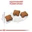 Сухой корм для котят после стерилизации Royal Canin Kitten Sterilised 0.4 кг - миниатюра 4