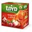 Чай фруктовый Loyd Rosehip&Apple, шиповник и яблоко, в пирамидках, 40 г - миниатюра 2