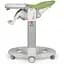Стілець-гойдалка Peg-Perego Tatamia Follow Me Wonder Green (IH02000001WD24) - мініатюра 11