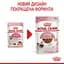 Набор для котят Royal Canin + Bronzedog + Eastland + Georplast + Мафин + Trixie + Barksi - миниатюра 3
