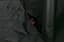 Захисний килимок для собак Trixie для автомобільного сидіння, 155х130 см, чорний (13203) - мініатюра 3