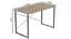 Комп'ютерний стіл Ferrum-decor Дейв 75x120x70 сірий ДСП Дуб Сан-Марино 32мм (FRD-102406) - мініатюра 3