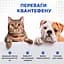 Таблетки антигельмінтні ModeS Kvantefen для котів та собак малих порід 4 шт. - мініатюра 6