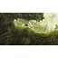 Ключ активації Microsoft Leo's Fortune для Xbox One/Series - мініатюра 5