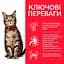 Сухой корм Hill's SP Adult для взрослых кошек с ягненком 1.5 кг - миниатюра 2