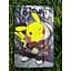 Чехол для планшета BeCover Smart Case Samsung Galaxy Tab A11 Plus SM-X236B 11.0" Pikachu (714019) - миниатюра 7